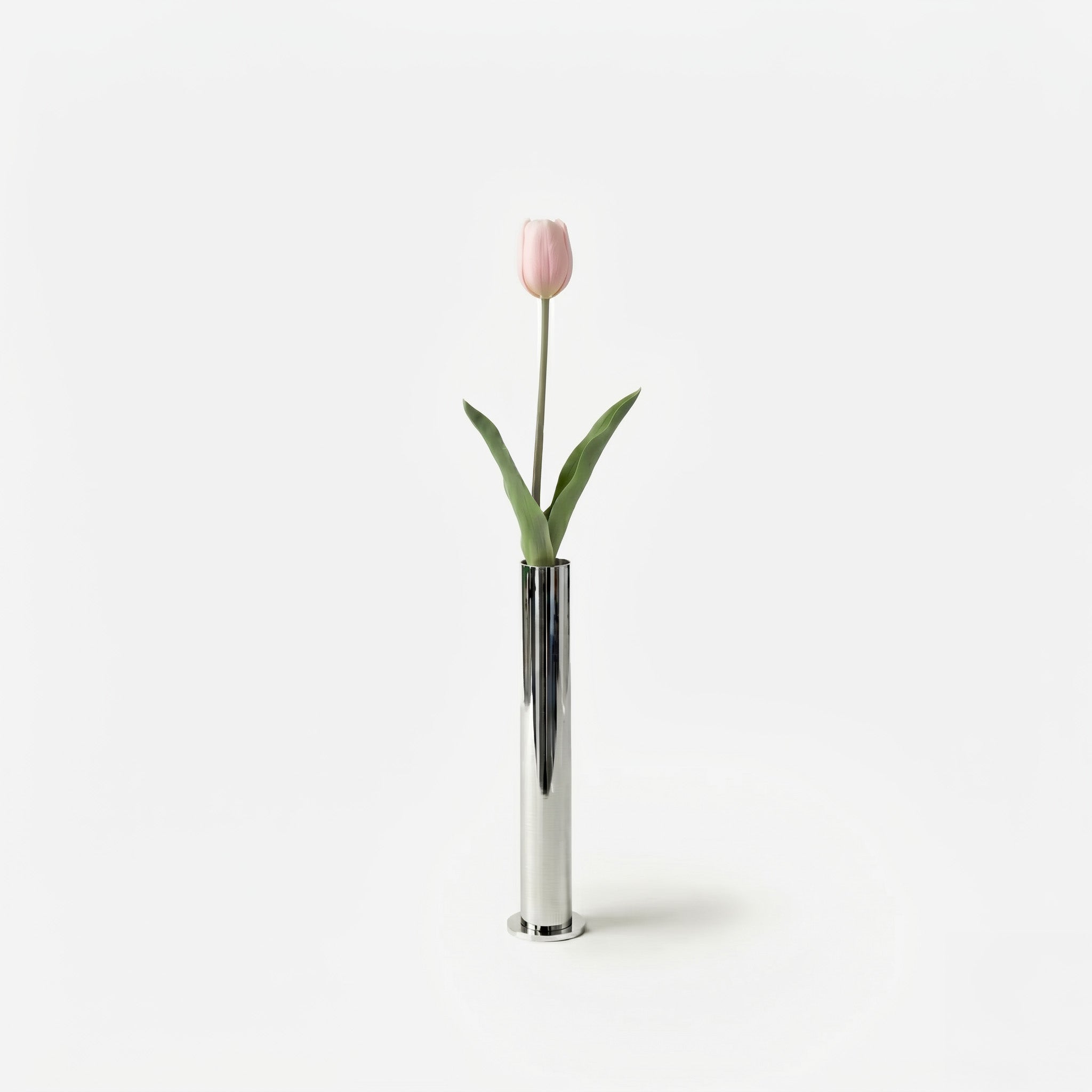 Tulipe rose dragée