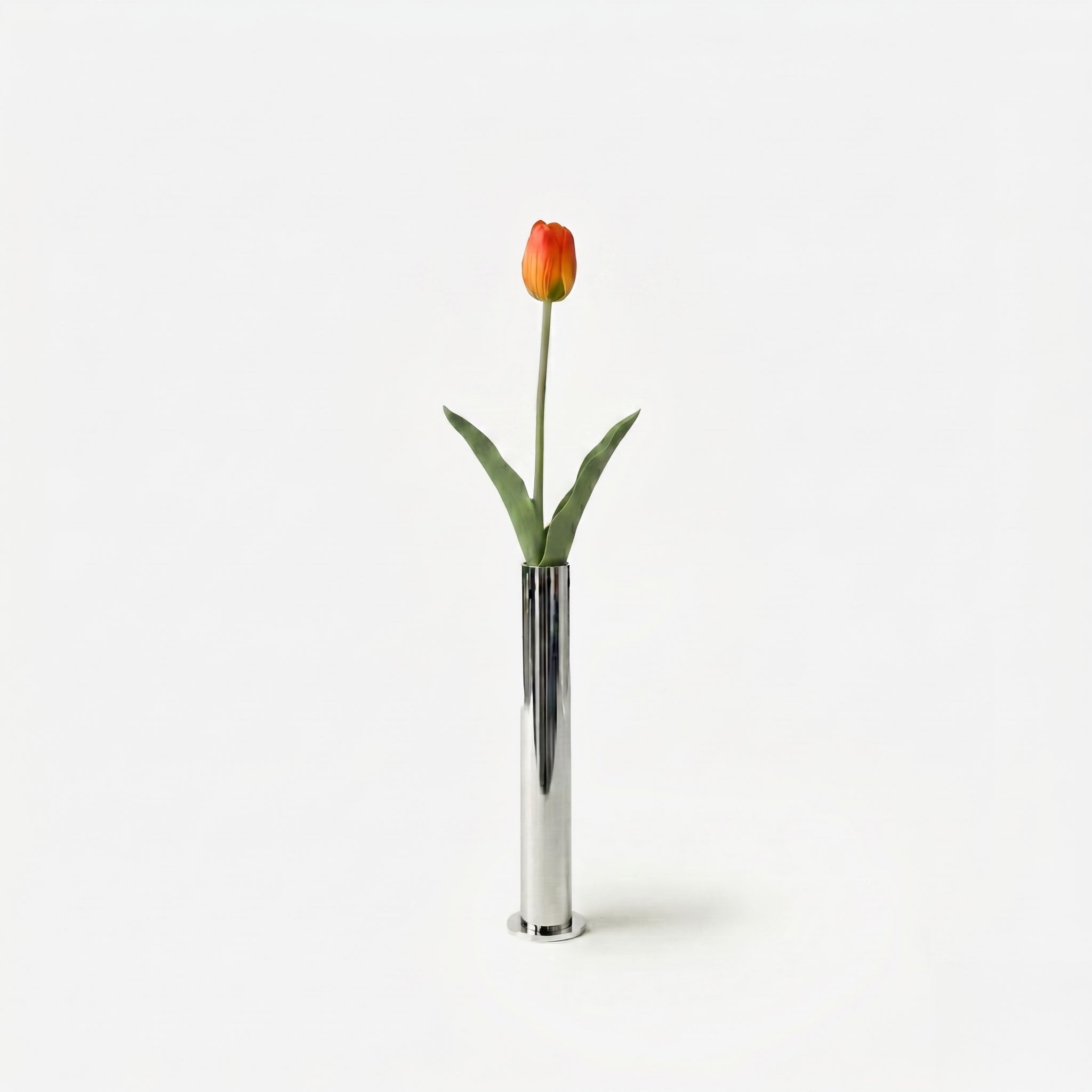 Tulipe orange solaire