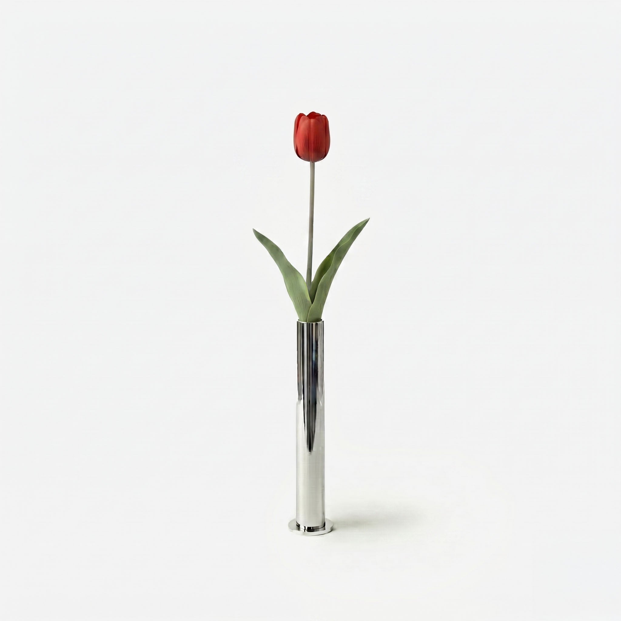 Tulipe rouge cardinal