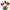 Mini bouquet tulipes rouge cardinal