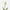 Tulipe blanc solaire