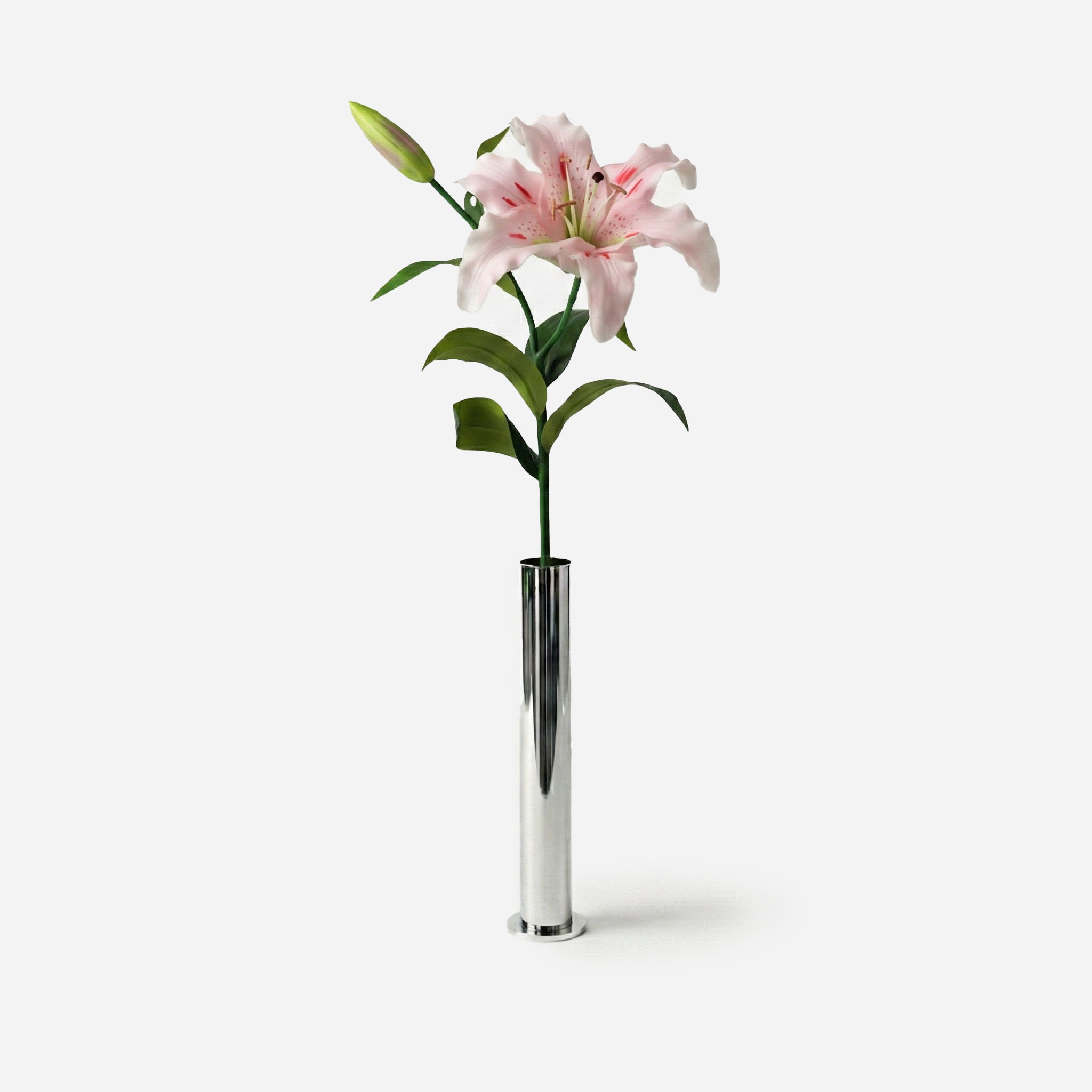 Pink dawn lily