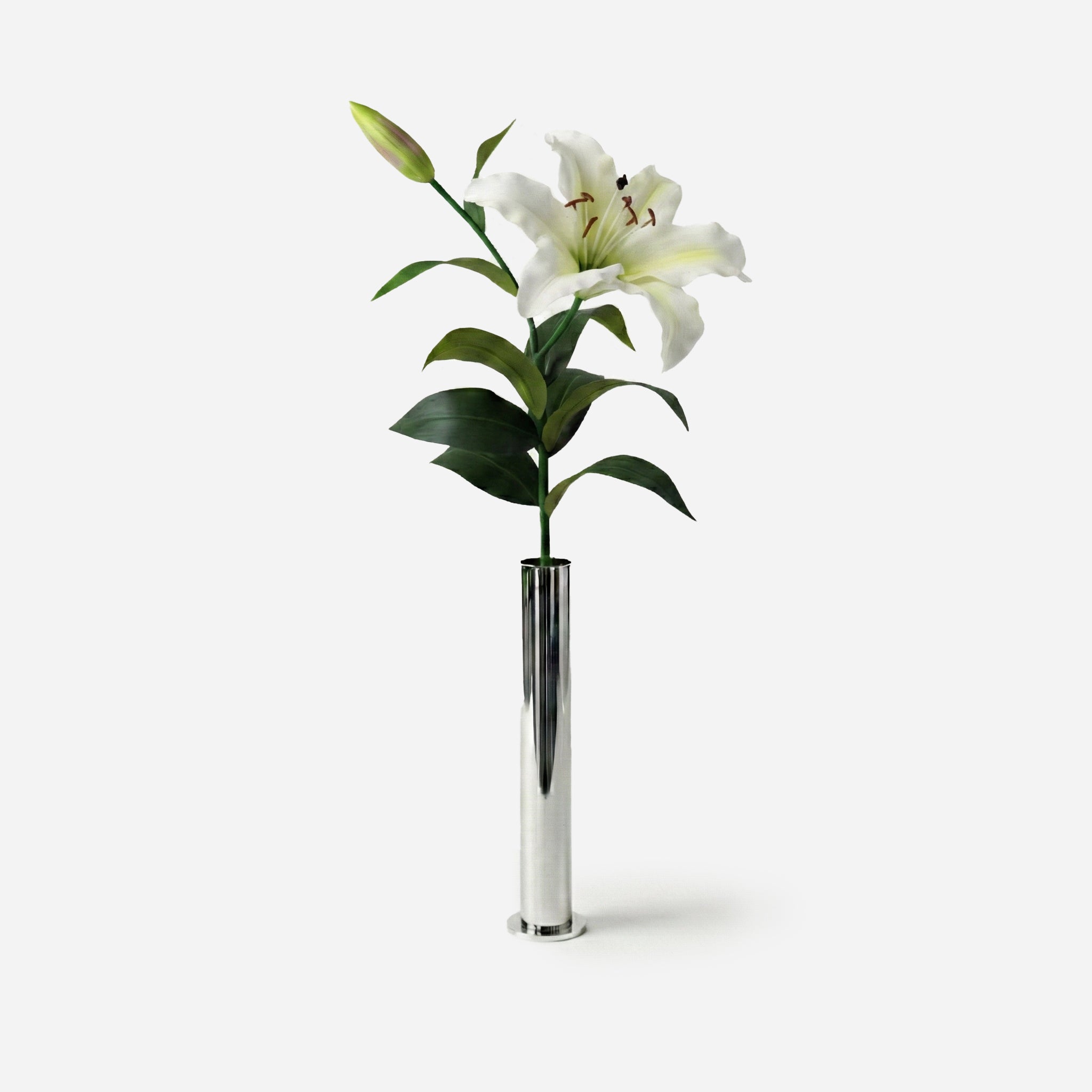 Lys blanc cœur vanille